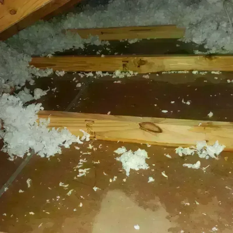 Attic Water Damage in Moline Acres, MO